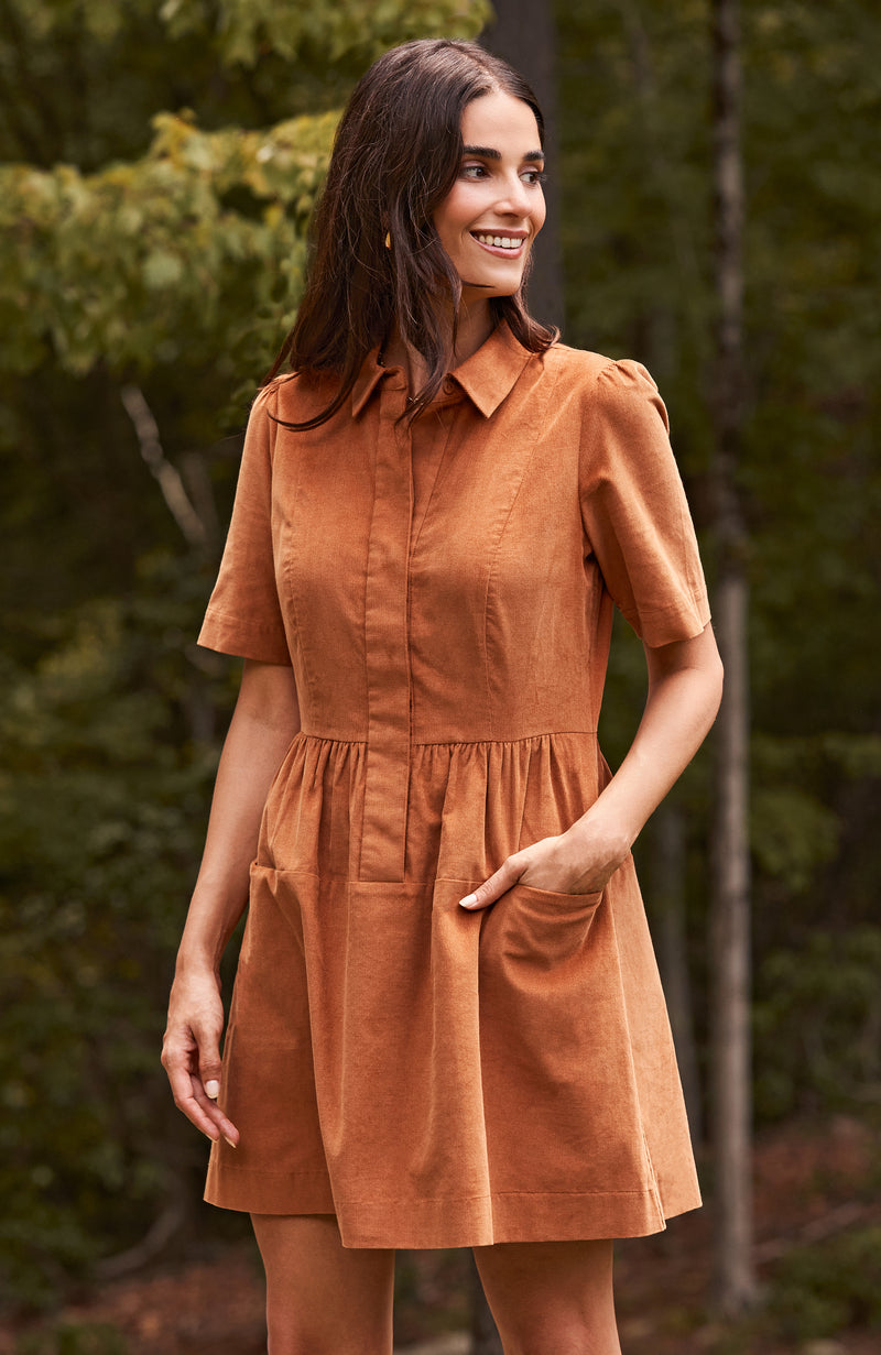 Tyler Boe Mitzi Corduroy Dress Chestnut Xs Chestnut