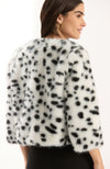 Ermin Jacket - Black White Spots