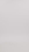 Cotton Cashmere Turtleneck - Winter Wheat