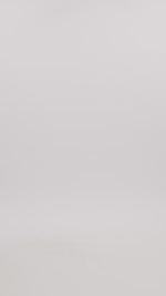 Cotton Cashmere Turtleneck - Winter Wheat